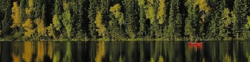 page banner